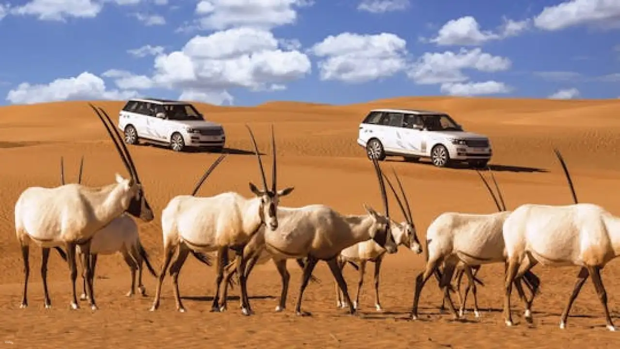 Dubai Desert Conservation Reserve